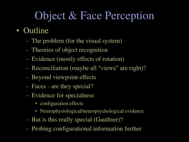 object face perception
