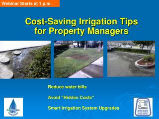 Cost-Saving Irrigation Tips for Property Managers