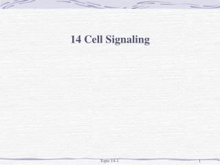 14 Cell Signaling