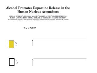 n = 6 males