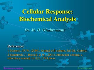 Cellular Response: Biochemical Analysis