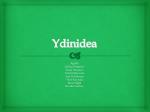 Ydinidea - slide 1