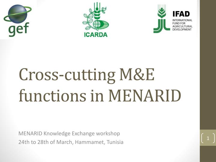 cross cutting m e functions in menarid