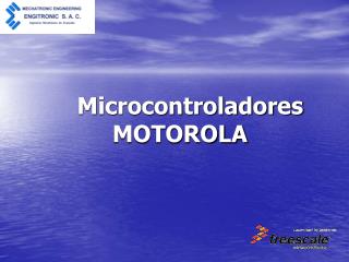 microcontroladores motorola