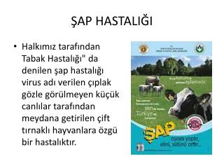 ap hastali i