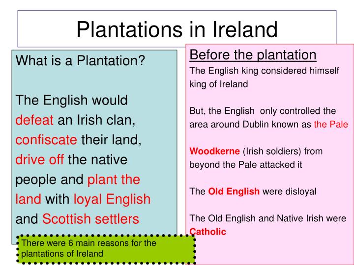 plantations in ireland