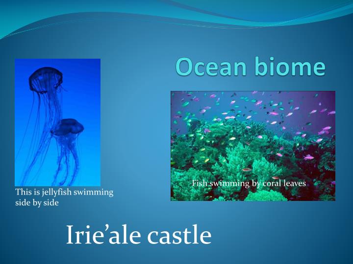 ocean biome