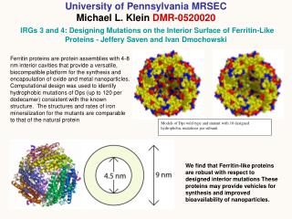 Models of Dps wild type and mutant with 10 designed hydrophobic mutations per subunit.