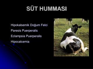 s t hummasi