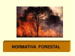 NORMATIVA FORESTAL - slide 1