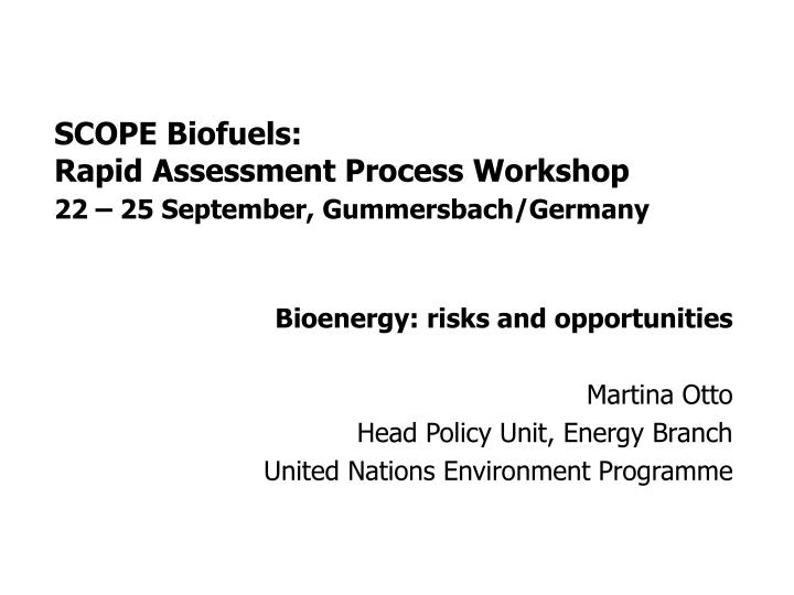 scope biofuels rapid assessment process workshop 22 25 september gummersbach germany