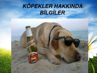 k pekler hakkinda b lg ler