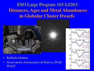 ESO Large Program 165-L0263: Distances, Ages and Metal Abundances in Globular Cluster Dwarfs