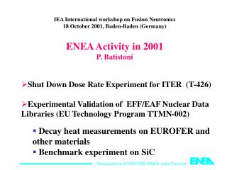 IEA International workshop on Fusion Neutronics 18 October 2001, Baden-Baden (Germany)