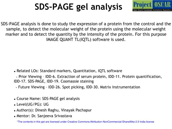 sds page gel analysis