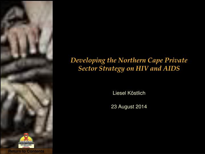 developing the northern cape private sector strategy on hiv and aids