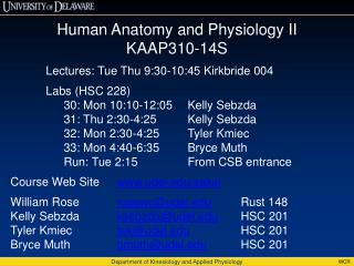 Human Anatomy and Physiology II KAAP310-14S Lectures: Tue Thu 9:30-10:45 Kirkbride 004