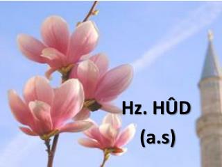 hz h d a s