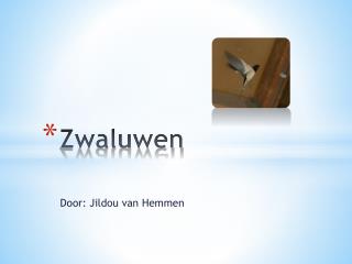 zwaluwen