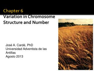 Chapter 6 Variation in Chromosome Structure and Number
