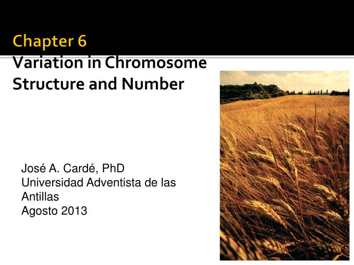 chapter 6 variation in chromosome structure and number