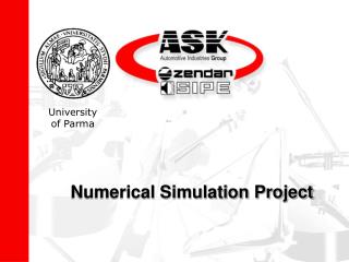 Numerical Simulation Project