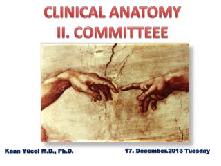 CLINICAL ANATOMY II. COMMITTEEE