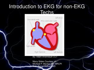 Introduction to EKG for non-EKG Techs