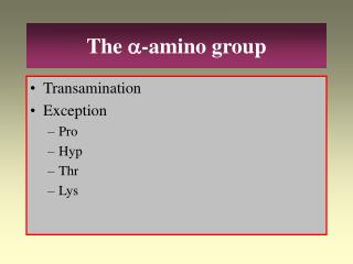 The a -amino group