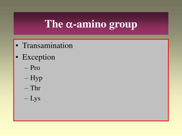 the a amino group