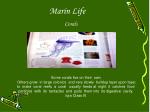 Marvels of Corals: Builders of Coral Reefs - slide 1