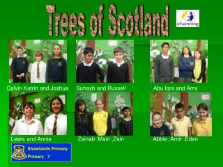 Trees of Scotland