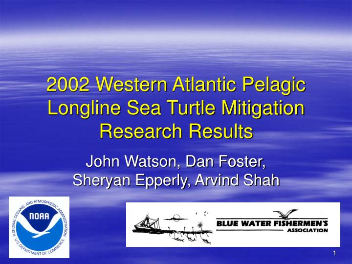 2002 western atlantic pelagic longline sea turtle mitigation research results