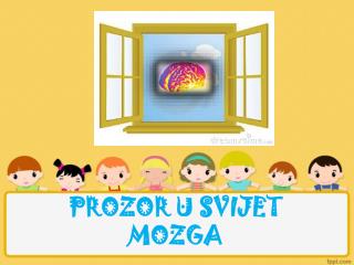 prozor u svijet mozga