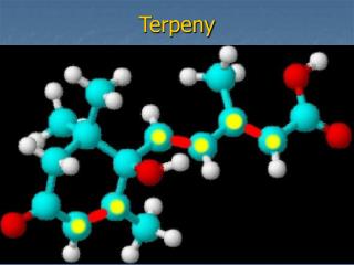 Terpeny