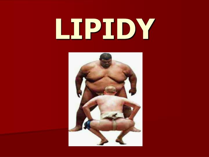 lipidy