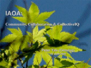 IAOA: Community, Collaboration &amp; CollectiveIQ