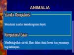 ANIMALIA - slide 1