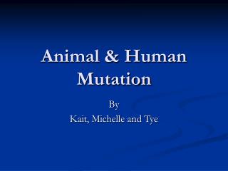 animal human mutation