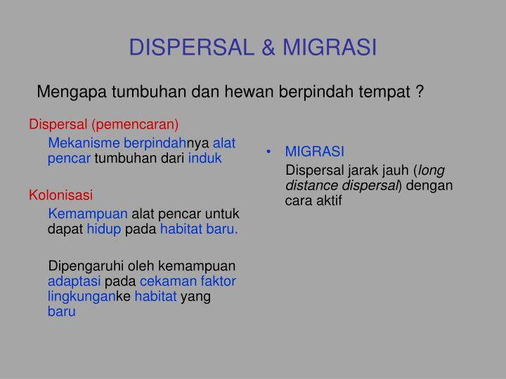 dispersal migrasi