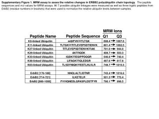 Peptide Sequence