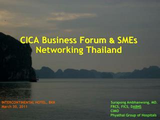CICA Business Forum &amp; SMEs Networking Thailand