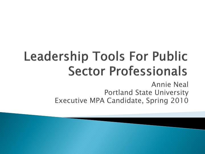 leadership tools for public sector professionals