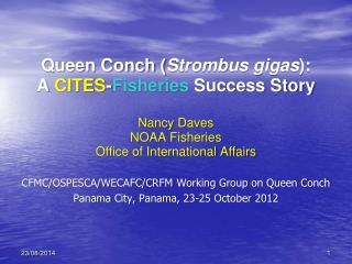 Queen Conch ( Strombus gigas ): A CITES - Fisheries Success Story Nancy Daves NOAA Fisheries