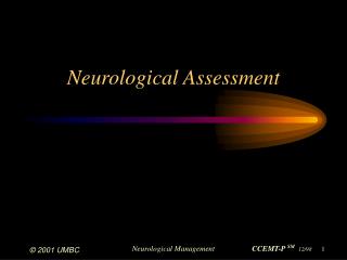 Neurological Assessment