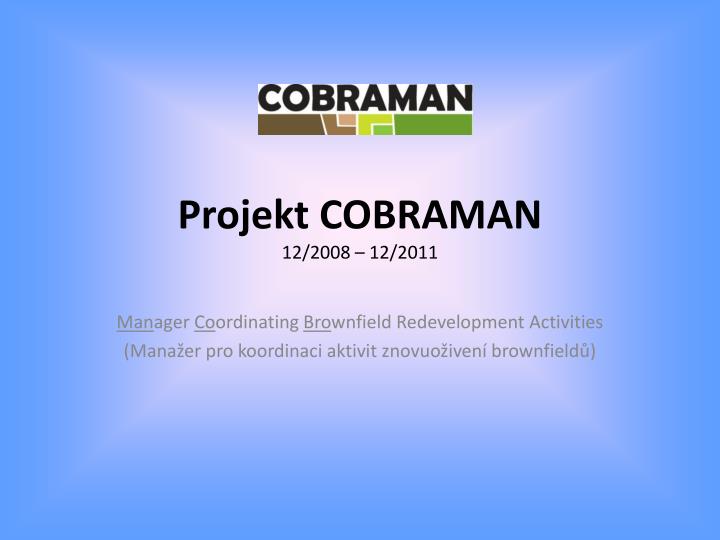 projekt cobraman 12 2008 12 2011