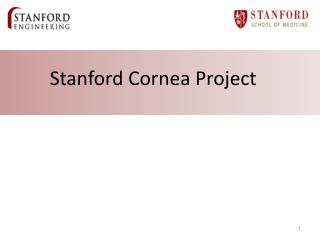 Stanford Cornea Project