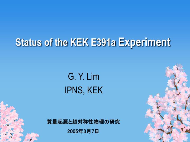 status of the kek e391a experiment