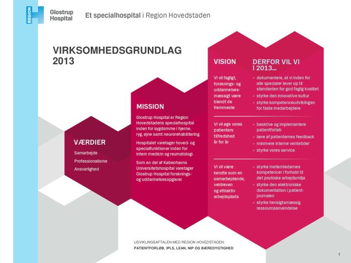 virksomhedsgrundlag 2013