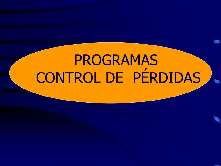 programas control de p rdidas